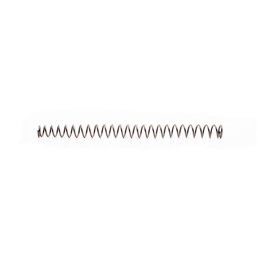 CZ P-10F recoil spring
