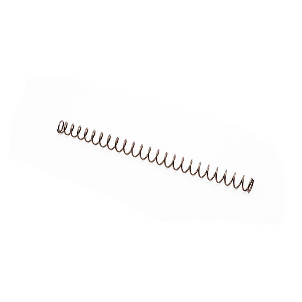 CZ P-10F recoil spring