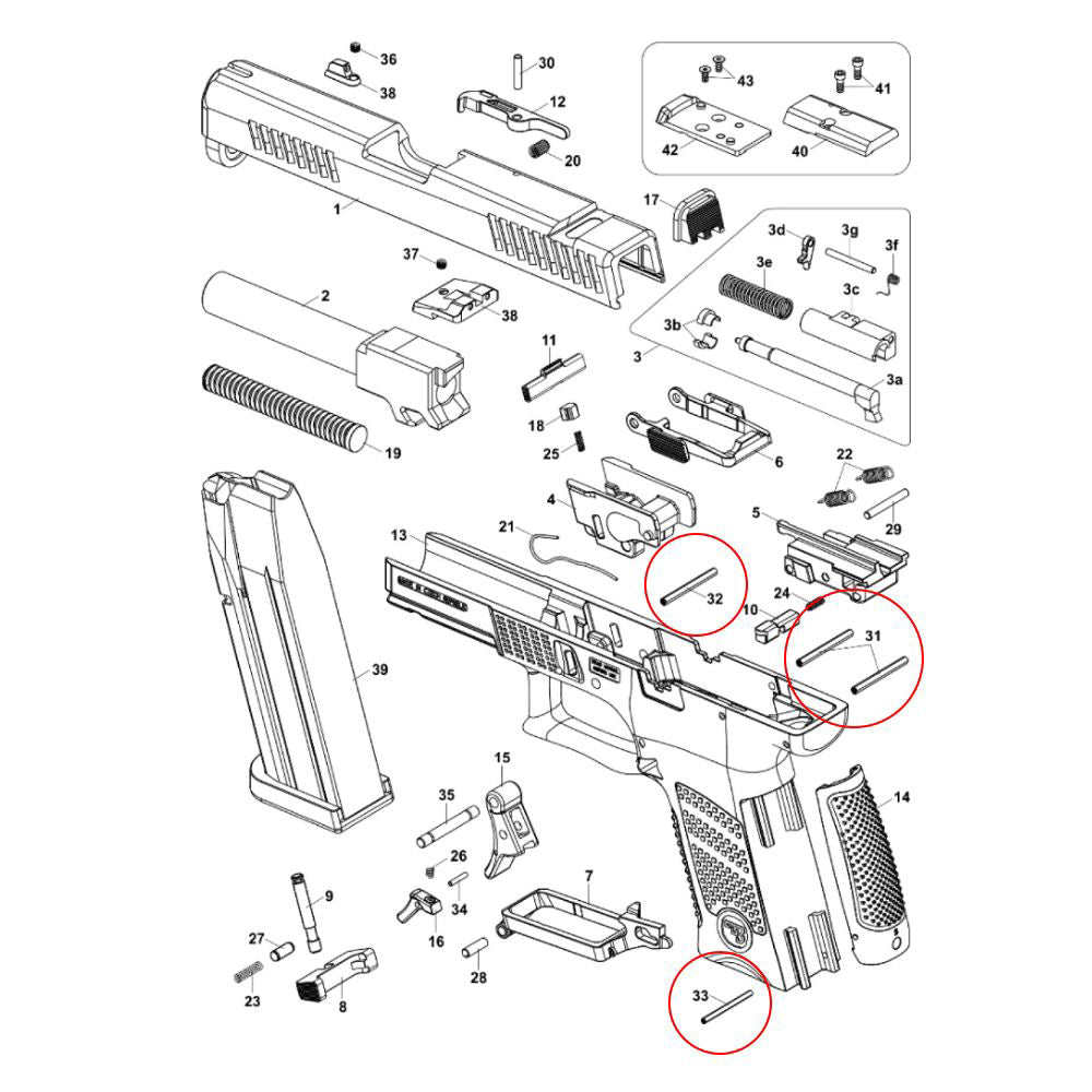 CZ P-10 set of pins